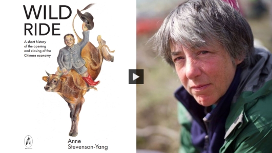 ChinaFile Presents: A Wild Ride through China’s Economy with Author Anne Stevenson-Yang
