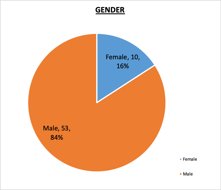 Board of Trustees Gender Pie Chart October 2020 84% Male, 16% Female