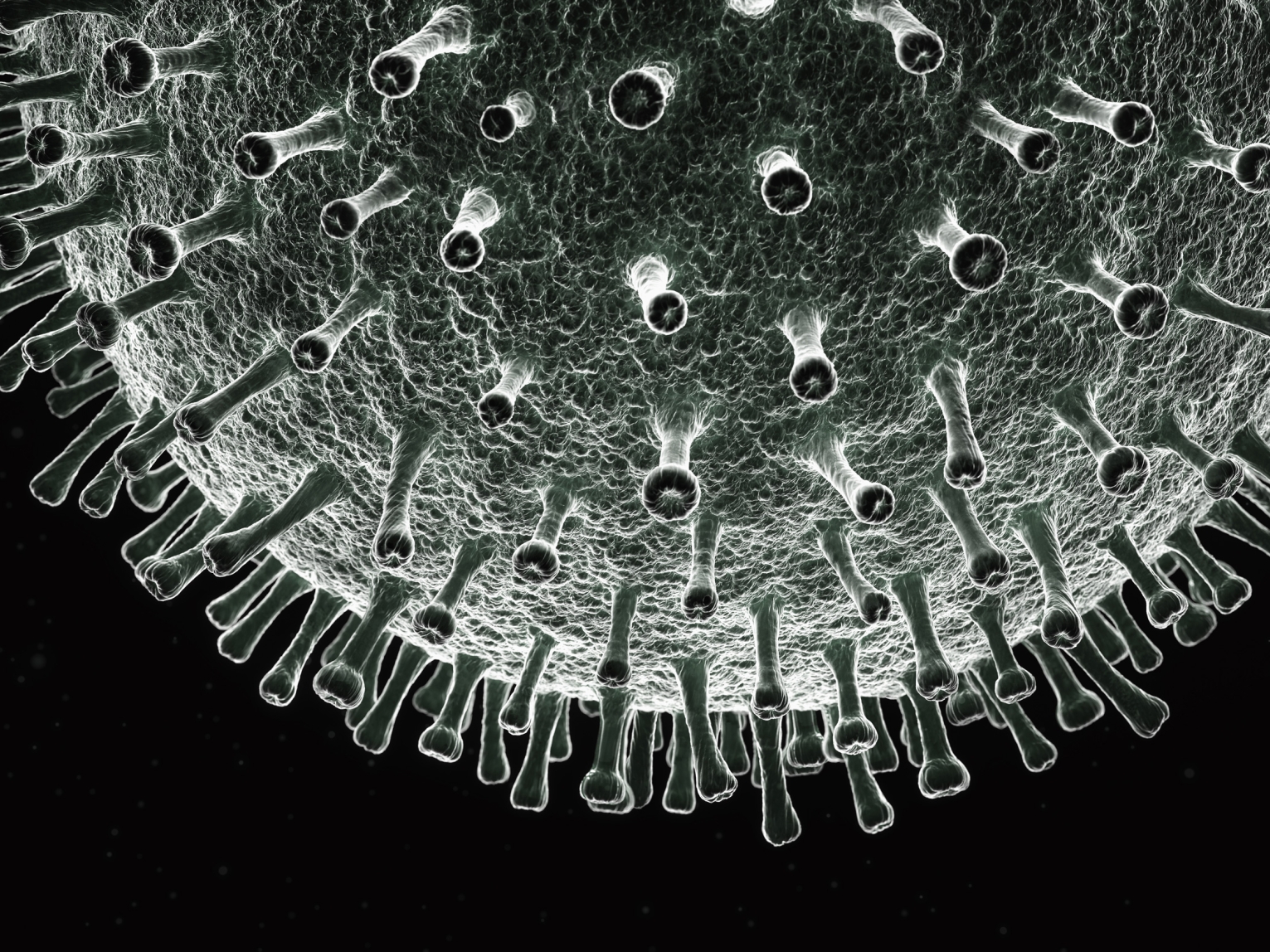 3D rendering of theCOVID-19 virus.